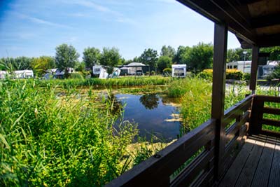 Waterhut IJsvogel