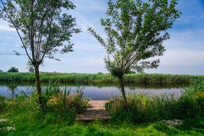 Omgeving